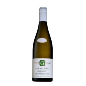 Les vignes blanches- Philippe Gavignet