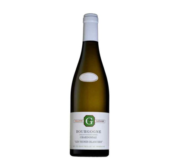 Les vignes blanches- Philippe Gavignet