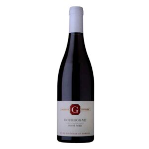 Bourgogne Pinot Noir - Philippe Gavignet