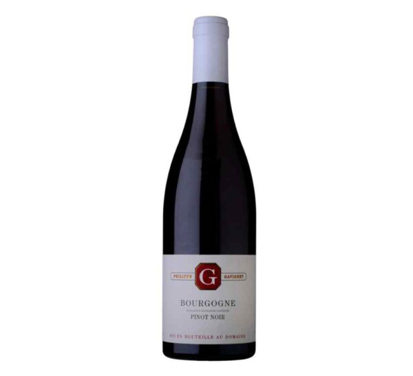 Bourgogne Pinot Noir - Philippe Gavignet