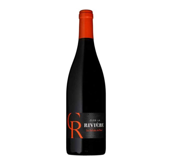 Clos de la Rivière Les Schistes de Paul