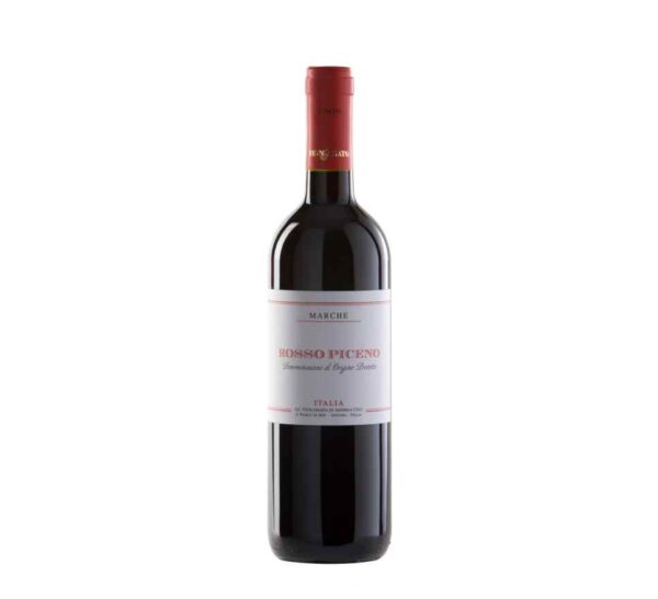 Rosso Piceno Azienda Vignamato